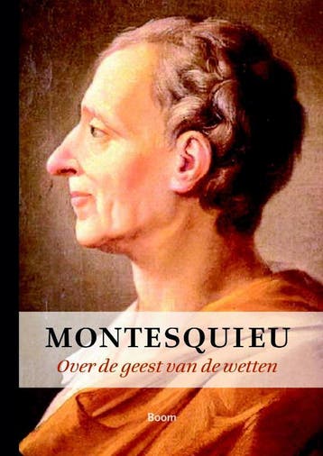 Over de geest van de wetten - Montesquieu 9789085066699, Verzenden, Zo goed als nieuw, Montesquieu