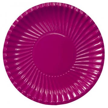 bordeaux wegwerp borden 29 cm - Bordjes, Ophalen of Verzenden, Nieuw