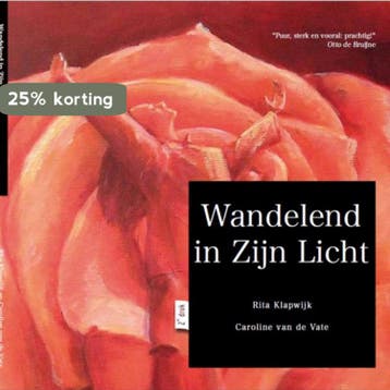 Wandelend in Zijn licht - R. Klapwijk 9789081479318, Verzenden, Zo goed als nieuw, R. Klapwijk
