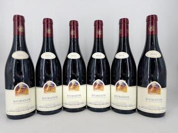 2016 Mugneret Gibourg , - Bourgogne - 6 Flessen (0.75 liter), Nieuw