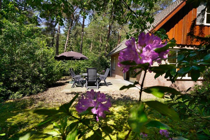 *Last Minute* Luxe Wellness vakantiehuis in Twentse bossen, Vakantie, Vakantie | Senioren