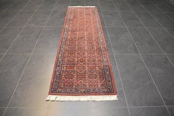 Bidjar - Loper - 262 cm - 72 cm, Nieuw
