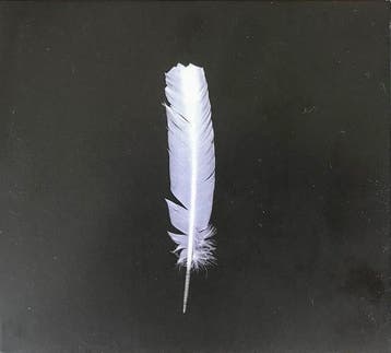 cd digi - Arno Adams - Vogel, Cd's en Dvd's, Verzenden, Zo goed als nieuw