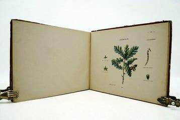 Edmond Auduit - Atlas de lHerbier des Demoiselles - 1850, Antiek en Kunst