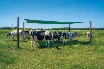 NEW!! Sterk schaduwnet verschillende formaten vanaf € 186,-, Weidegang, 4 paarden of pony's of meer