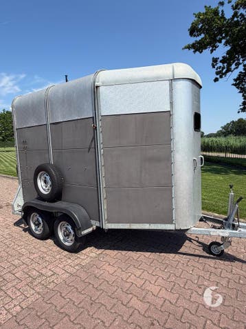 Leuke Ifor Williams 2-paards paardentrailer!, Ophalen, Zo goed als nieuw, Aluminium, 2-paards trailer