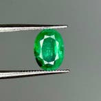 Zonder minimumprijs Groen Smaragd - 1.80 ct - International, Nieuw
