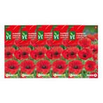 Klaprooszaad | VT | 5 stuks (Rood), Verzenden