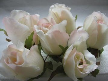 Zijden Roosjes Champagne Roze 2Tone 5-6 cm 10 stuks, Ophalen of Verzenden, Nieuw