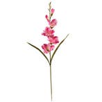 Gladiool Roze Zijdenbloem 60 cm per stuk, Ophalen of Verzenden, Nieuw