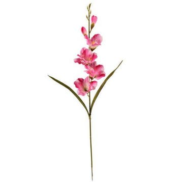Gladiool Roze Zijdenbloem 60 cm per stuk, Ophalen of Verzenden, Nieuw