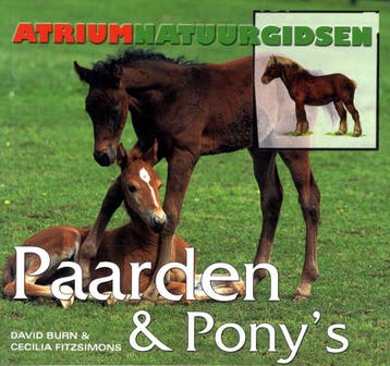 Paarden & PonyS - D. Burn 9789059473287, Verzenden, Gelezen, D. Burn