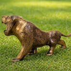 sculptuur, Finely Engraved Bronze Lion Sculpture –, Antiek en Kunst