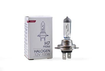 M-Tech H7 12V 100W -  Basic - Enkel, Verzenden, Nieuw