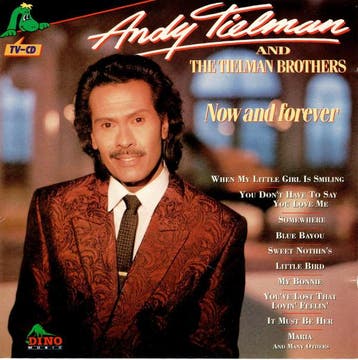Andy Tielman And The Tielman Brothers - Now And Forever, Ophalen of Verzenden, Gebruikt
