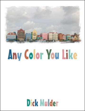 Any Color You Like - David Mulder 9789048401840, Verzenden, Gelezen, David Mulder