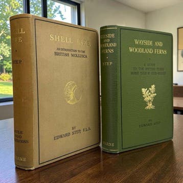 Step - Wayside & Woodland Ferns, Shell Life & British