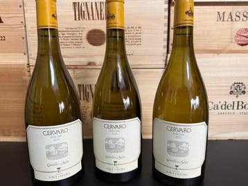 2024 Castello della Sala, Cervaro della Sala - Umbrië IGT -, Verzamelen, Nieuw