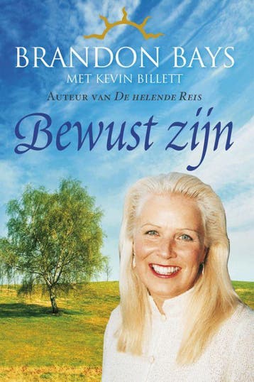 Bewustzijn - Brandon Bays 9789049201302, Boeken, Verzenden, Zo goed als nieuw, Brandon Bays