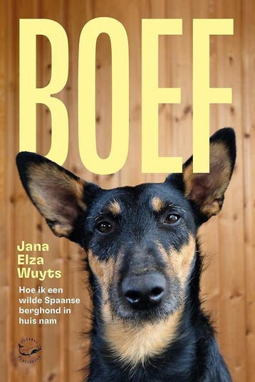 Boef - Jana Elza Wuyts 9789464335996, Verzenden, Gelezen, Jana Elza Wuyts