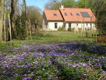Kamer te huur in Oostvoorne - 25 m² - 1 kamer(s), Overige regio's