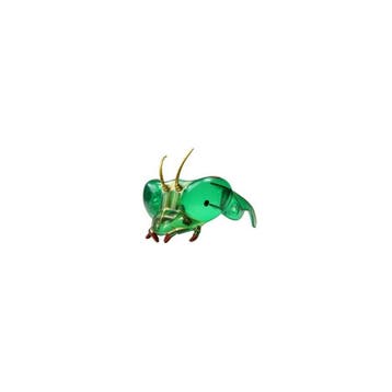 Bidsprinkhaan Masker met Insectenbril - Educatieve Kijkbril