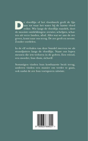 Vloedlijn 9790825836021 Leen Raats, Boeken, Verzenden, Zo goed als nieuw, Leen Raats