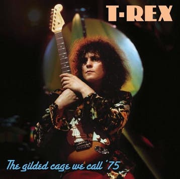 cd - marc bolan &amp; t. rex - THE GILDED CAGE WE CALL 75..., Verzenden, Zo goed als nieuw