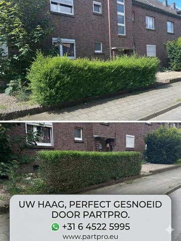 Terrein / Tuin onderhoud Nijmegen Wijhen Arnhem, Garantie, Tuinonderhoud of Snoeiwerk