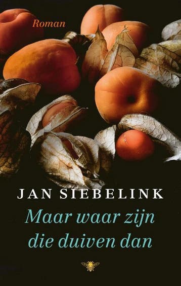Maar waar zijn die duiven dan - Jan Siebelink 9789403182902, Verzenden, Gelezen, Jan Siebelink