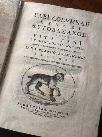 Colonna Fabio - FABI COLUMNAE LYNCEI  - 1744, Antiek en Kunst