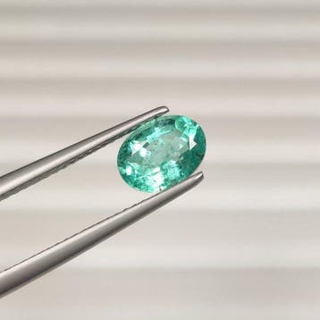 Zonder minimumprijs - 1 pcs Groen Smaragd - 1.38 ct -, Nieuw
