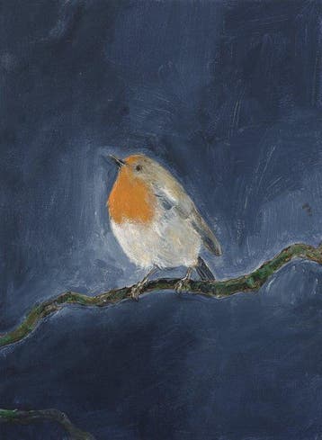 Matthieu van Riel - Robin
