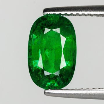 Zonder minimumprijs - 1 pcs Groen Tsavoriet - 3.49 ct -, Nieuw