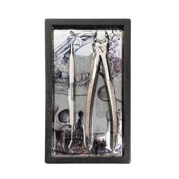 Dental extraction pliers - Hars, Hout, Staal - Kader