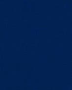 Richmond Katoen Canvas Blauw, Nieuw, Blauw