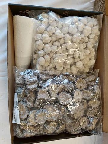Kerstpakket startpakket hobby en bloemschikken lijmpistool, Ophalen of Verzenden, Nieuw