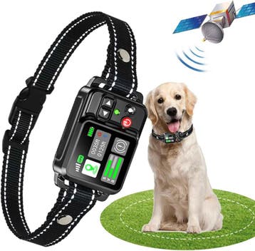 GPS Trainingshalsband Hond | XL | Laatste Stuk!, Ophalen of Verzenden, Nieuw