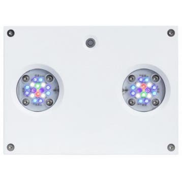 Aqua Illumination Hydra 32HD Wit, Dieren en Toebehoren, Ophalen of Verzenden, Nieuw