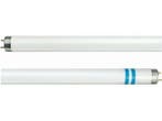 Philips Master TL-D Secura 18 watt, Ophalen of Verzenden, Nieuw