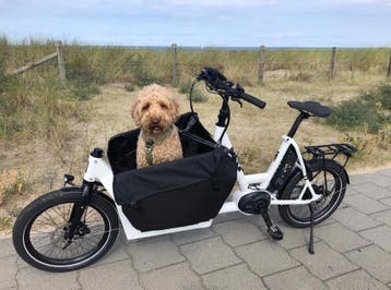 URBAN ARROW elektrische bakfiets - WOOM - Schindelhauer, Ophalen of Verzenden, Nieuw, Huif
