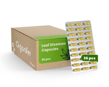 Leaf Diseases Bladziekten Capsules - 36 stuks, Verzenden, Mest