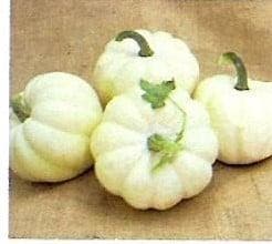 White Cloud F1 Acorn pompoen zaden, Ophalen of Verzenden, Nieuw