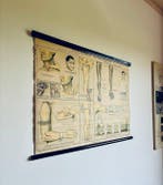 Lesmateriaal - G.B. Paravia Torino - Canvas - 1950-1960 -