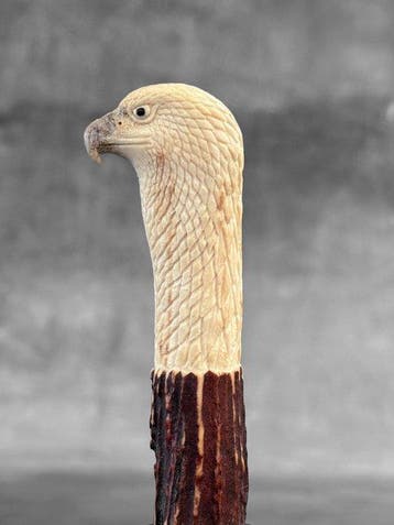 Snijwerk, NO RESERVE PRICE - Stunning Eagle Head Carving