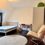 Kamer in Maastricht gevonden voor €540,- pm, Minder dan 20 m², Maastricht