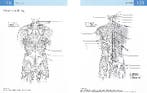 Anatomie van fitness- en krachttraining 9789089983886, Verzenden, Gelezen, Ashwell Ken