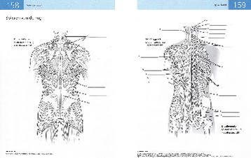 Anatomie van fitness- en krachttraining 9789089983886, Verzenden, Zo goed als nieuw, Ashwell Ken