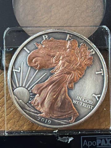 Verenigde Staten. 1 Dollar 2019 Liberty Antique Finish