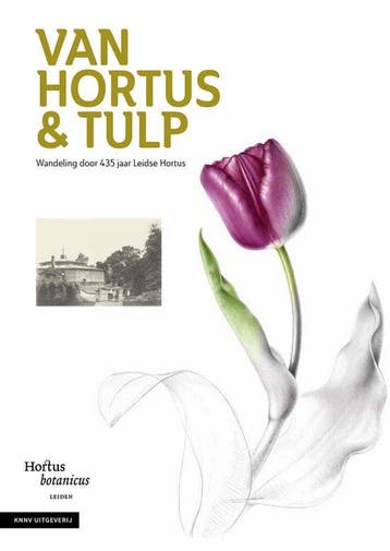 Van Hortus & tulp - Hortus botanicus Leiden 9789050119665, Verzenden, Zo goed als nieuw, Hortus botanicus Leiden